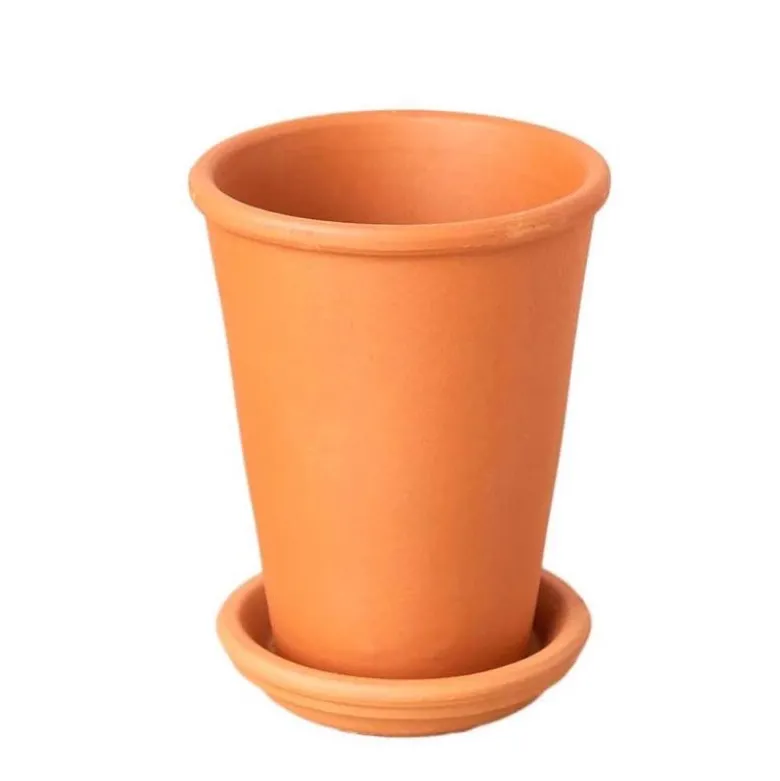 All-in-One New Plant Parent Kit