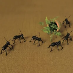 Ant Pot/ Wall Climbers, Set of 3