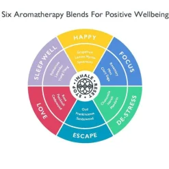 Aromatherapy 6 Balm Discovery Tin