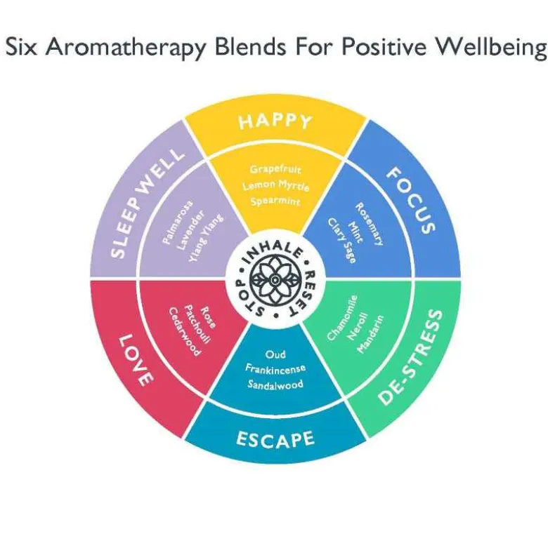 Aromatherapy 6 Balm Discovery Tin