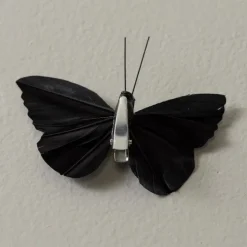 Black Feather Butterflies, Set of 8