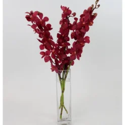 Fresh Cut Small Orchid Bunch in Glass Vase - Red
