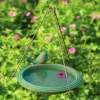 Hanging Birdbath with Perched Bird (teal)