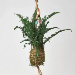Kokedama Moss Ball Hanging Plant - Fern Jester Crown