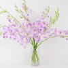 Large Orchid Bunch in Glass Vase - Pink