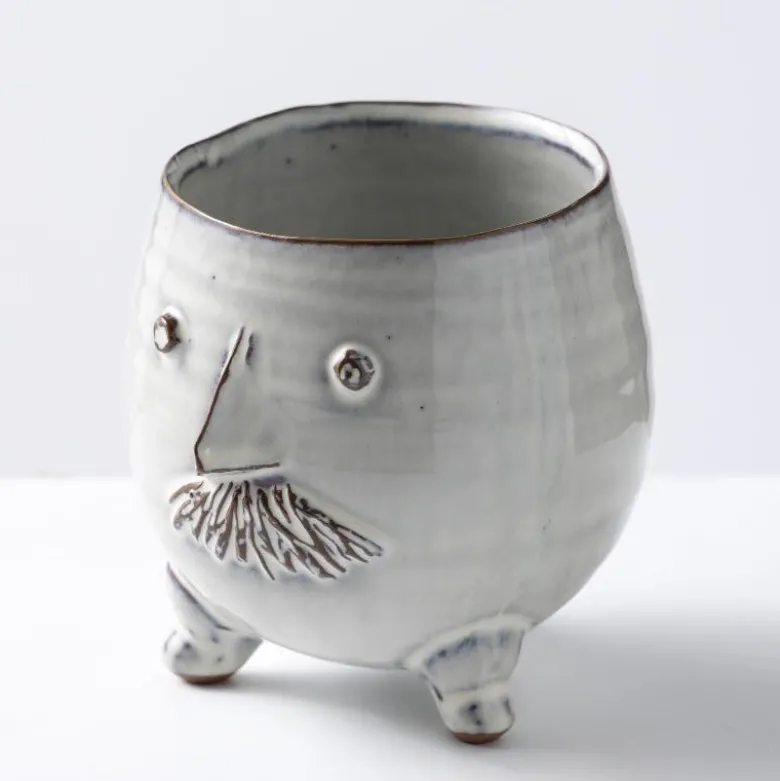 Mr. Pot with Spider Plant