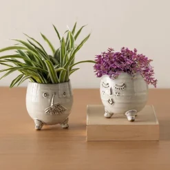 Mr. Pot with Spider Plant