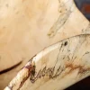 Natural Raw Wood Organic Bowl