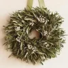 Organic Tallow Berry & Olive Leaf Wreath with Hanger