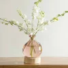 Pink 7" Balloon Vase with 5 Stems of Fresh Cut Orchids - White