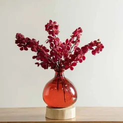 Red 7" Balloon Vase with 5 Stems of Fresh Cut Orchids - Burgundy