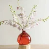 Red 7" Balloon Vase with 5 Stems of Fresh Cut Orchids - Pink