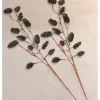 Seaside Alder Pinecone Stems, Set of 2