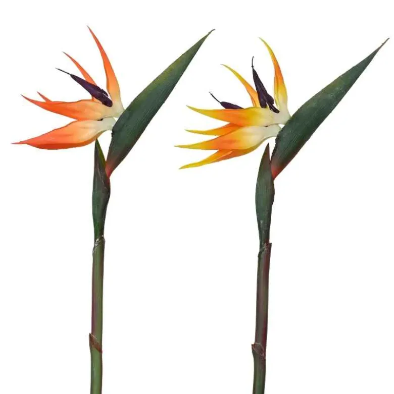 Set of 2 Bird of Paradise Faux Blooms