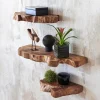 Takara Live-Edge Floating Shelf, Small