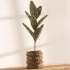 Woven Palm Plant