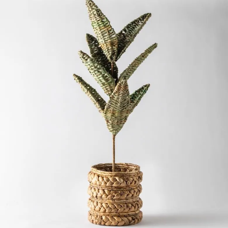 Woven Palm Plant